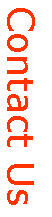 Casella di testo: Contact Us