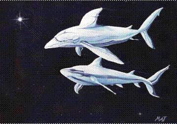 Future Brand Space Sharks