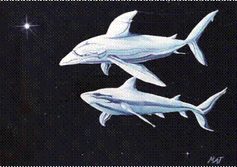 Future Brand Space Sharks